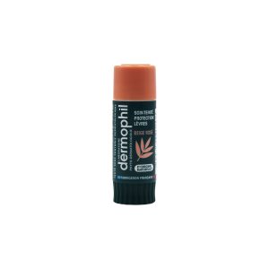 DERMOPHIL STICK SOIN TEINTÉ PROTECTION LÈVRES BEIGE ROSÉ 4g