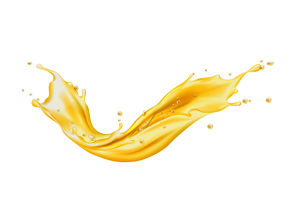 jojoba jojoba